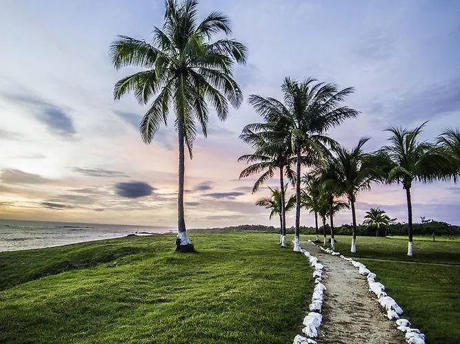 Iguanazul 3*